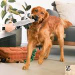 ZippyPaws Skinny Peltz - Grande Pack of 3