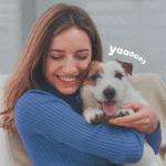 Adams Plus Flea & Tick Spot On for Dogs