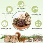 VESPRO Natural Chew Grass Balls for Small Pets
