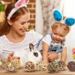 VESPRO Natural Chew Grass Balls for Small Pets