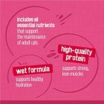 Purina Friskies Surfin' and Turfin' Cat Food Pack