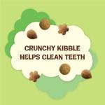 Purina Friskies Cat Treats, Catnip Flavor - 20 oz