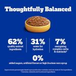 PEDIGREE Chopped Ground Dinner Dog Food Variety Pack