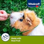 Vitakraft Wild Berry Treats for Small Pets