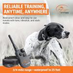 SportDOG SportHunter 1225X Rechargeable Dog Trainer Collar