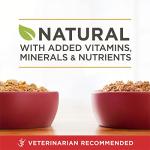 Purina ONE Chicken & Beef Wet Dog Food Pack