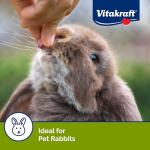 Vitakraft Wild Berry Yogurt Drops for Rabbits