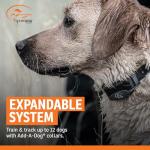 SportDOG TEK 1.5 GPS E-Collar System for Dogs