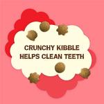 Purina Friskies Natural Cat Treats with Salmon