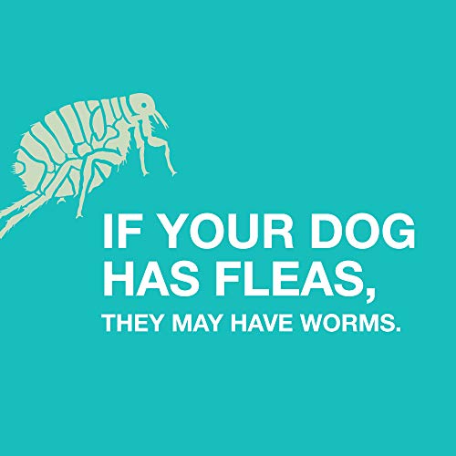 Bayer Chewable Dewormer for 2-25 lb Dogs