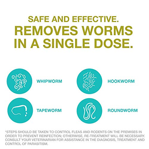 Bayer Chewable Dewormer for 2-25 lb Dogs