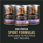 CAVA Wet Dog Food for Adult Dogs