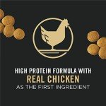 Purina Pro Plan High Protein Chicken & Rice Dog Food