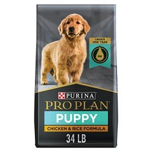 Purina Pro Plan Dry Food for Puppies