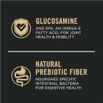 Purina Pro Plan Large Breed Salmon Dog Food