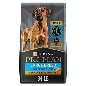 Purina Pro Plan Large Breed Chicken & Rice 15.4kg