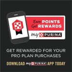 Purina Pro Plan Veterinary Diets HA Dry Dog Food
