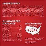 Purina ONE Lamb and Rice Dry Dog Food