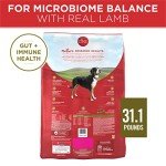 Purina ONE Lamb and Rice Dry Dog Food