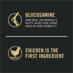 Purina Pro Plan High Protein Large Breed Dog Food