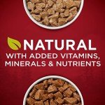 Purina ONE High Protein Wet Dog Food Variety Pack