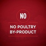 Purina ONE High Protein Wet Dog Food Variety Pack