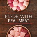 Purina ONE High Protein Wet Dog Food Variety Pack