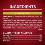 Purina ONE High Protein Wet Dog Food Variety Pack