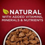 Purina ONE High Protein Wet Dog Food, 12 Cans