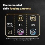 Cesar Wet Dog Food 12-Pack Filet Mignon & Strip