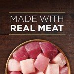 Purina ONE High Protein Wet Dog Food, 12 Cans