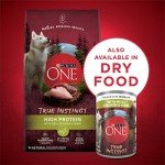Purina ONE High Protein Wet Dog Food, 12 Cans
