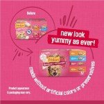 Purina Friskies Surfin' and Turfin' Cat Food Pack
