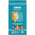 Iams Proactive Health Dry Cat Food