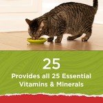Natural Cat Chow Essentials for Healthy Cats