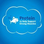 Friskies Seafood Sensations Dry Cat Food - 22 lb