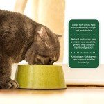 Rachael Ray Nutrish Indoor Natural Cat Food 6 lbs