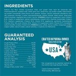 Purina ONE Tender Selects Salmon Dry Cat Food