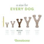 Benebone Wishbone Chew Toy with Real Bacon