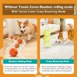 Durable Cotton Rope Chew Toys for Dogs