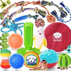 Dog Toothbrush and Chew Toy Combo