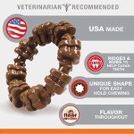 Nylabone DuraChew Ring Dog Toy