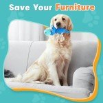 Durable Squeaky Dog Toys for Aggressive Chewers