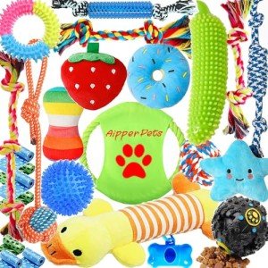 20-Pack Dog Puppy Chew and Squeak Toys