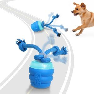 Interactive Motion-Activated Squeaky Dog Toy Ball