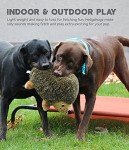 Outward Hound Hedgehogz Plush Dog Toy - Brown