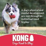 KONG Flyer - Durable Rubber Frisbee for Large Dogs
