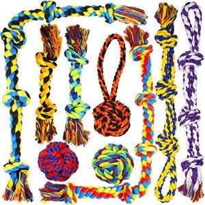 Durable Chew Toys for Aggressive Medium Dogs