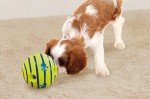 Wobble Wag Giggle Dog Toy Ball