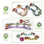 Durable Chew Toys for Aggressive Medium Dogs